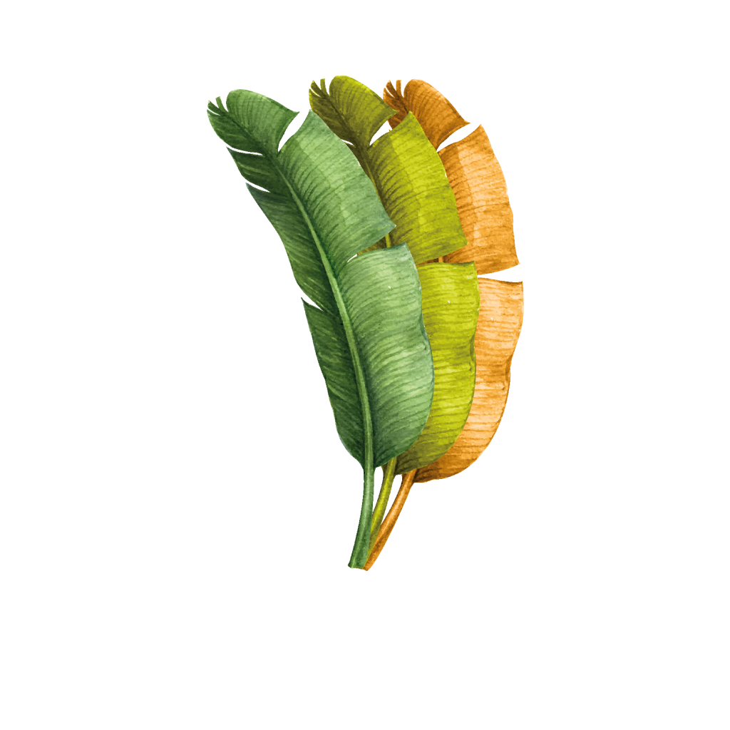 Bahar Logo White